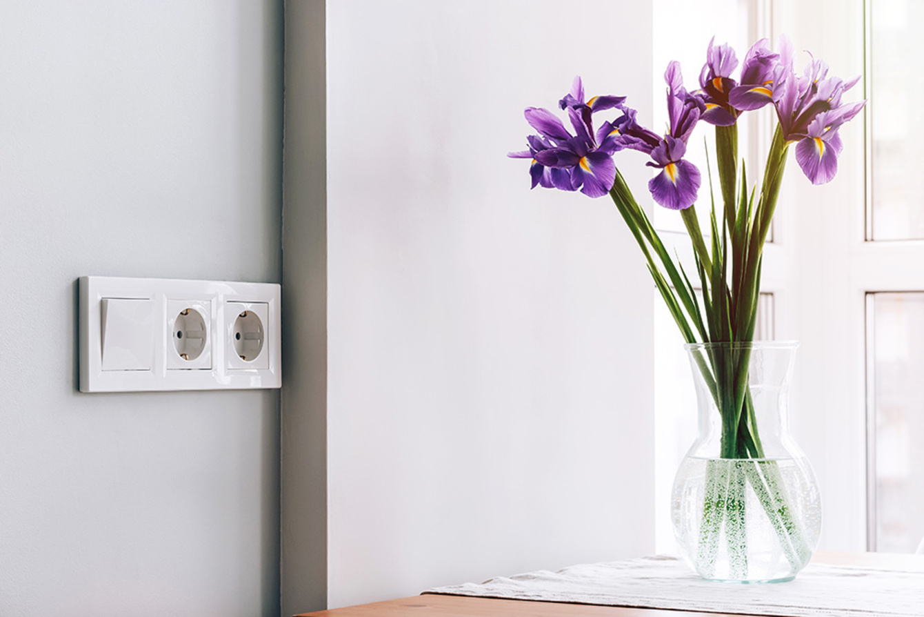 Design bei F + S Fernmelde- und Sicherungsmontagen GmbH in Güstrow